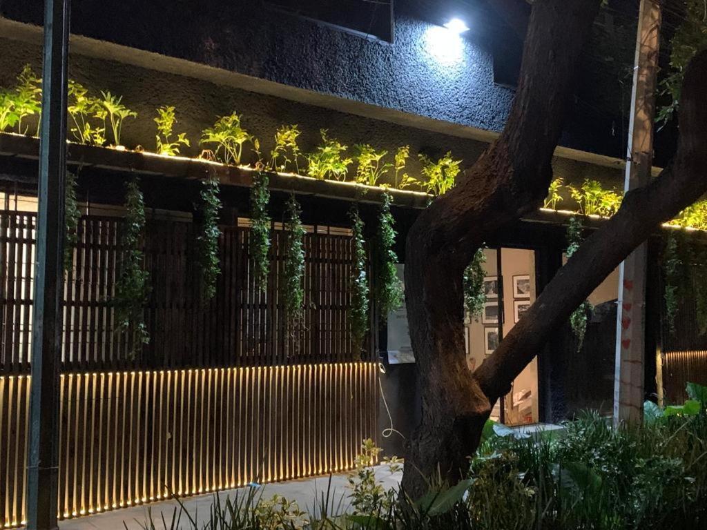 Frontera 49 Roma Norte Hostal Mexico City Ngoại thất bức ảnh
