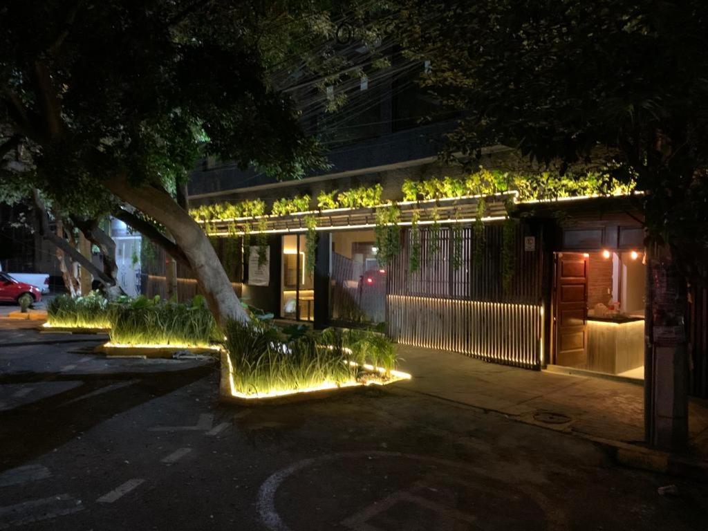 Frontera 49 Roma Norte Hostal Mexico City Ngoại thất bức ảnh