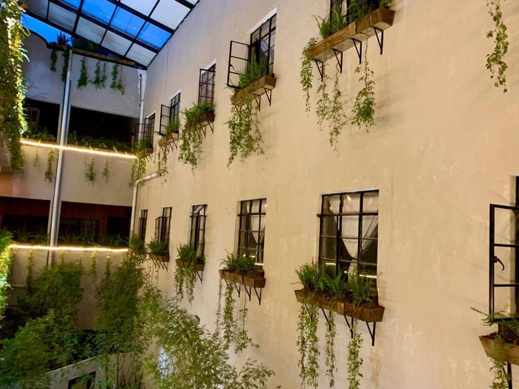 Frontera 49 Roma Norte Hostal Mexico City Ngoại thất bức ảnh