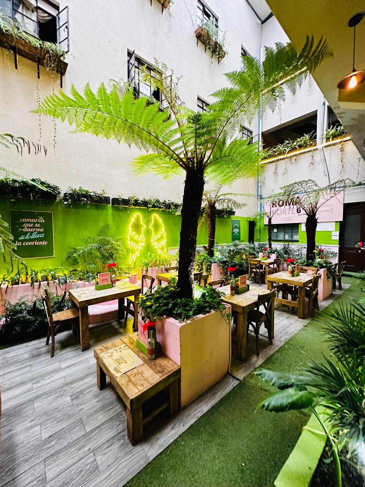 Frontera 49 Roma Norte Hostal Mexico City Ngoại thất bức ảnh