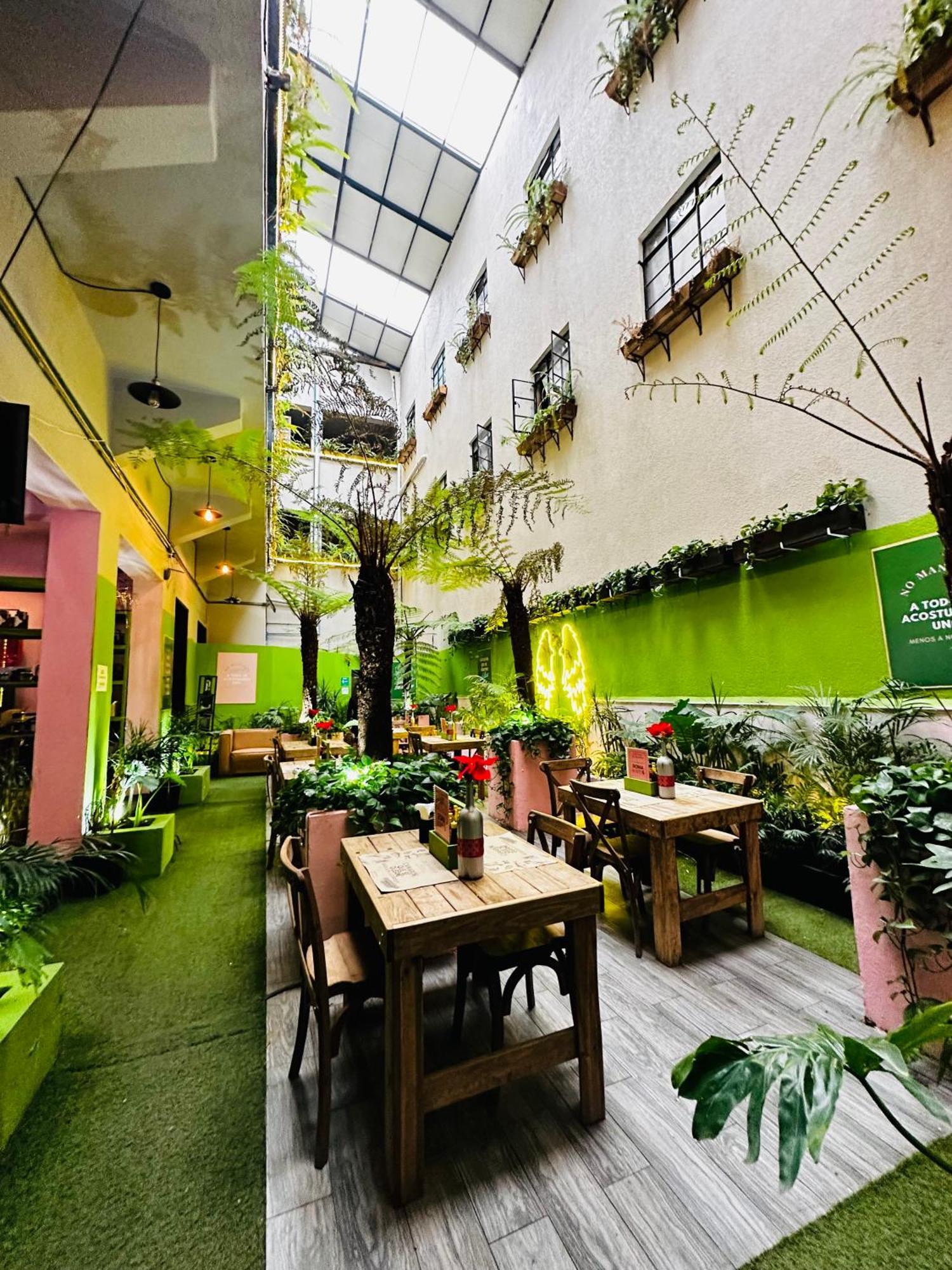 Frontera 49 Roma Norte Hostal Mexico City Ngoại thất bức ảnh