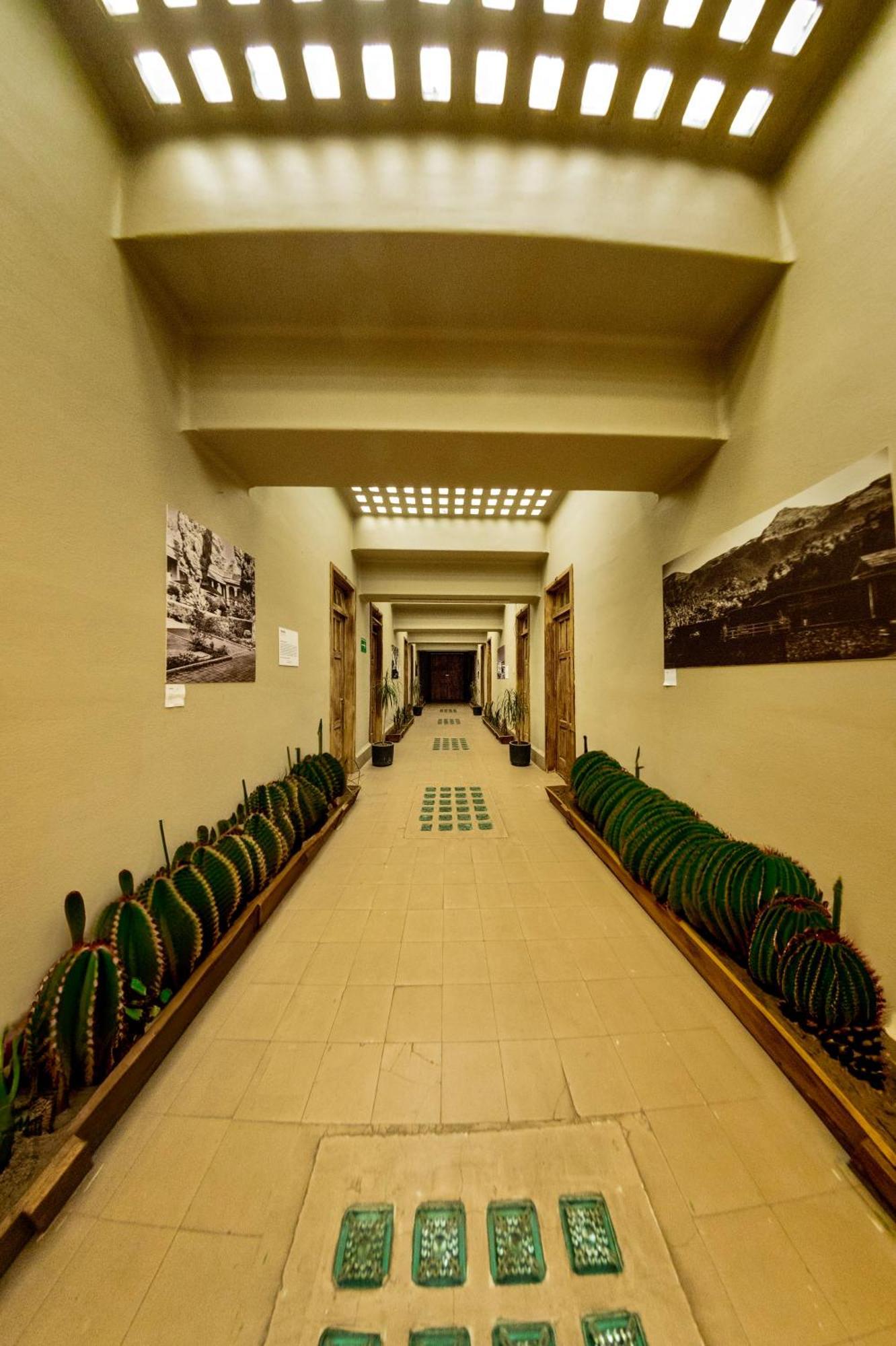 Frontera 49 Roma Norte Hostal Mexico City Ngoại thất bức ảnh